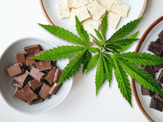 Benefits-of-CBD-Chocolates
