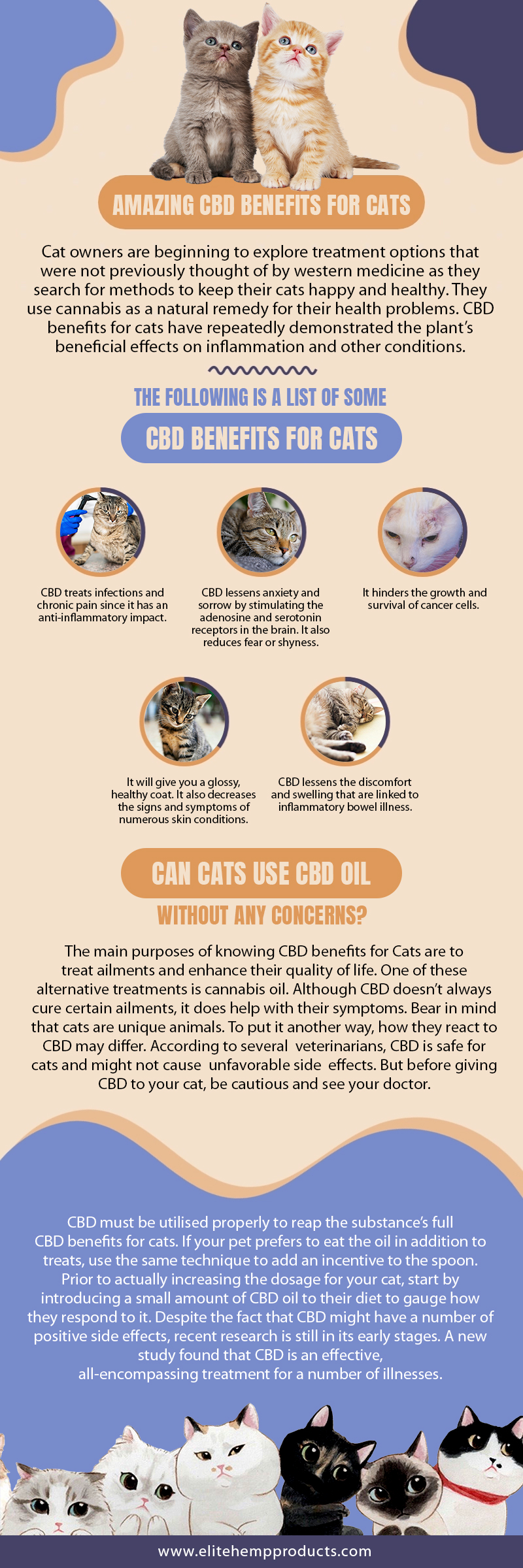 cbd benefits for cats